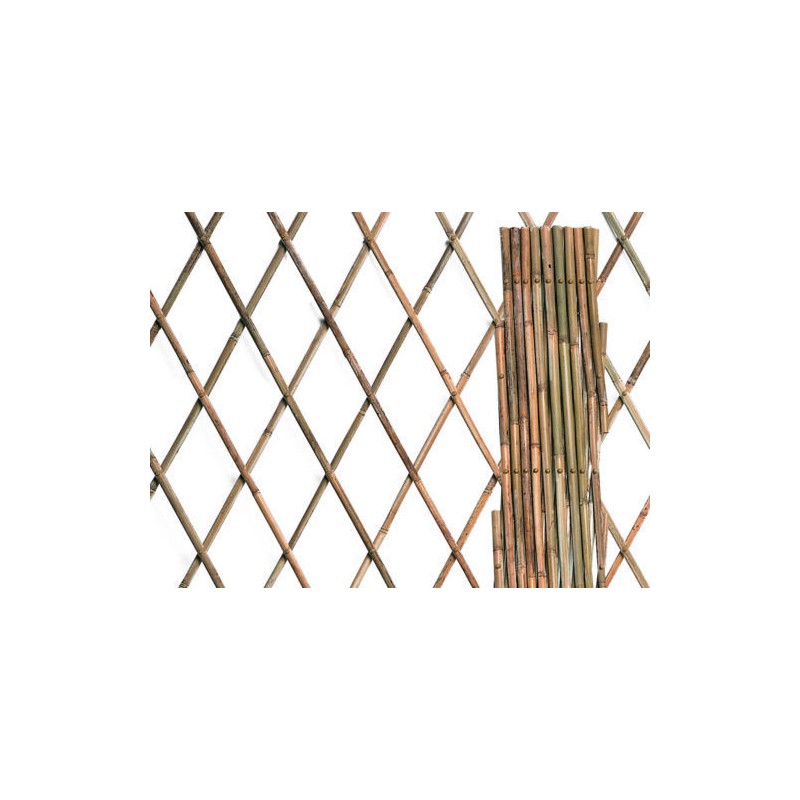 TRELLIS BAMBOOEXTENSIBLE CM.100X200 FOR CLIMBING PLANTS