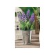THE VASE WITH THE LAVENDER AND THE DM.6 CM HIGH 16 CM PLACEHOLDER WEDDING FAVOR 884007
