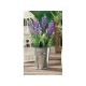 VASO CON LAVANDA DM.6 CM ALTO 16 CM SEGNAPOSTO BOMBONIERA 884007