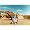 POSTER FOTOMURALE ORIGINALE STAR WARS CARTA DA PARATI GUERRE STELLARI DROIDI SU TATOOINE