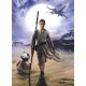 POSTER FOTOMURALE ORIGINALE STAR WARS CARTA DA PARATI GUERRE STELLARI REY