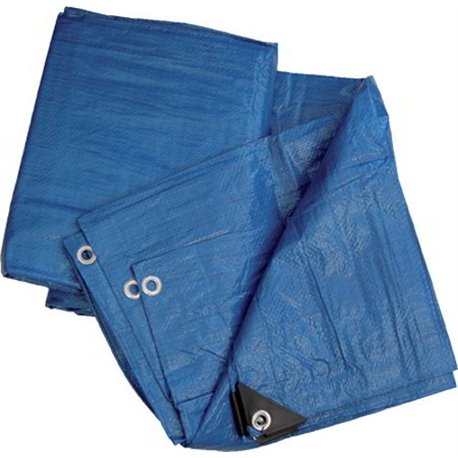 TELONE PE OCCHIELLATO BLU HAND GR/MQ 90 MT.8X10